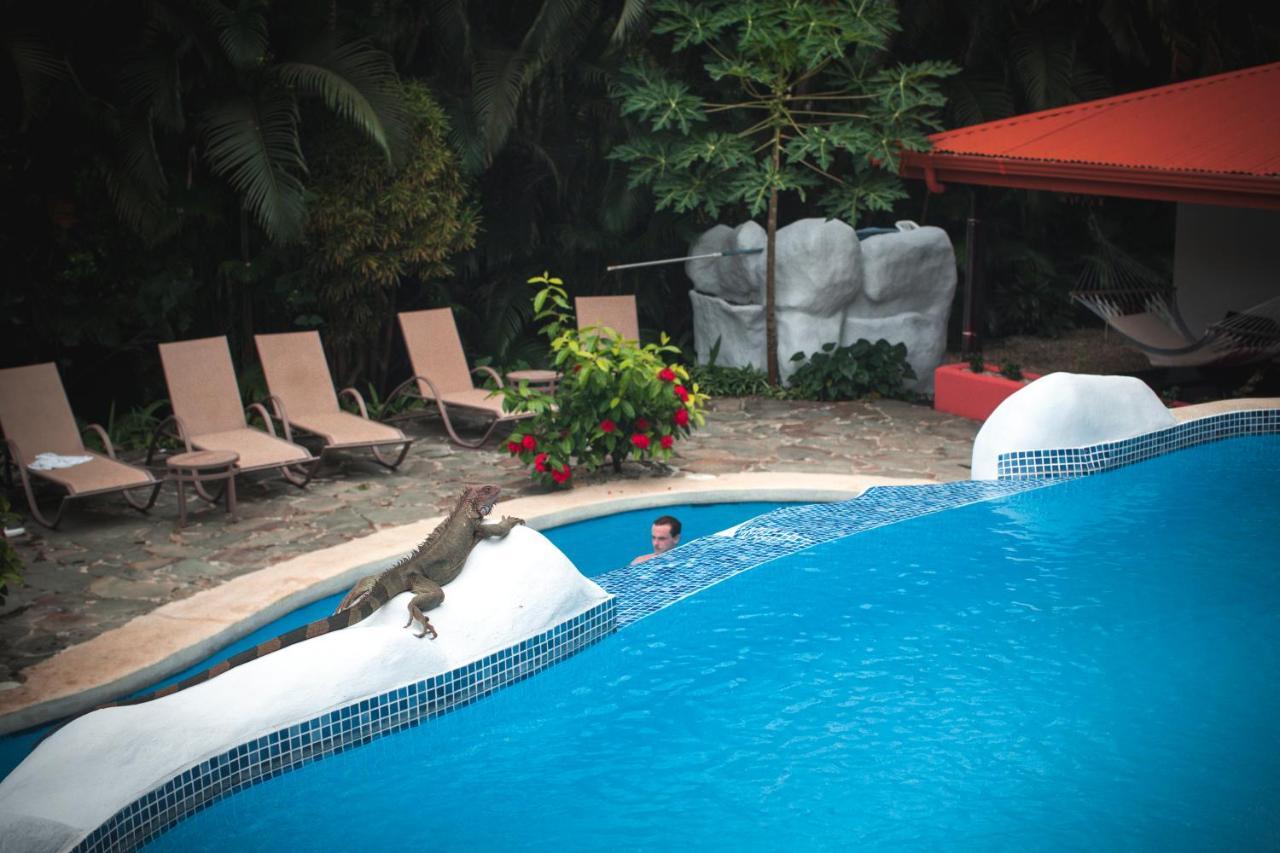 Hotel El Jardin Montezuma Buitenkant foto